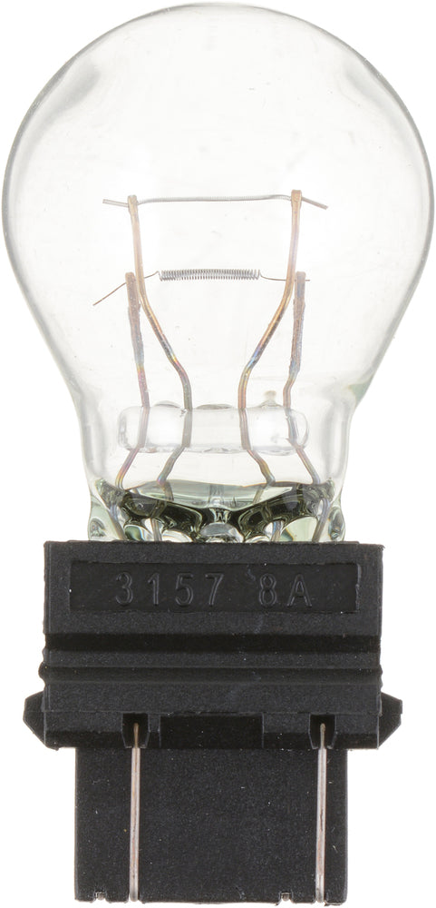 3157 Light Bulb