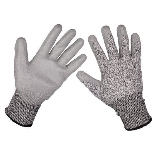 Worksafe® Anti-Cut PU Gloves (Cut Level C), Large - Pair 9139L